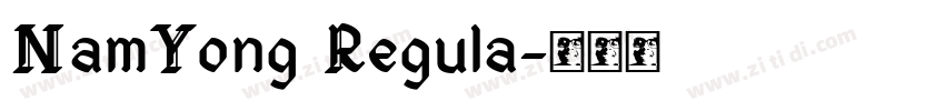 NamYong Regula字体转换